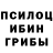 Галлюциногенные грибы мицелий Artem Nalivkin