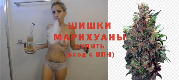 твердый Аркадак