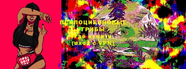твердый Аркадак