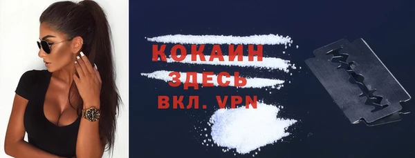 твердый Аркадак