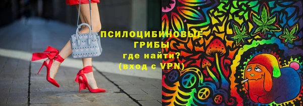твердый Аркадак